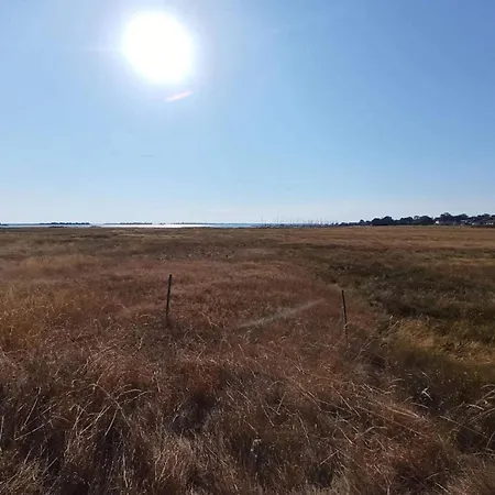 6-person In Aeroskobing-by *