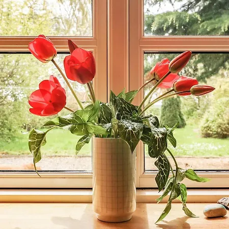 Feriehus 6-person In Aeroskobing-by